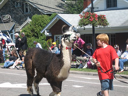 Mitford Days Parade in Blowing Rock
