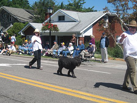 Mitford Days Parade in Blowing Rock